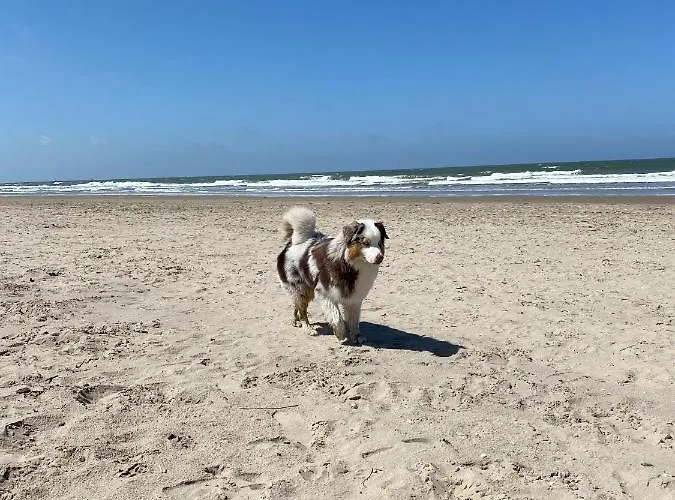 公寓 La Chatelaine *